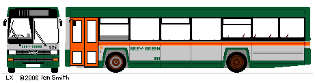 Grey-Green Lynx