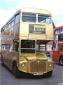 Gold RML2620 in the bus park